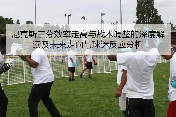 尼克斯三分效率走高与战术调整的深度解读及未来走向与球迷反应分析