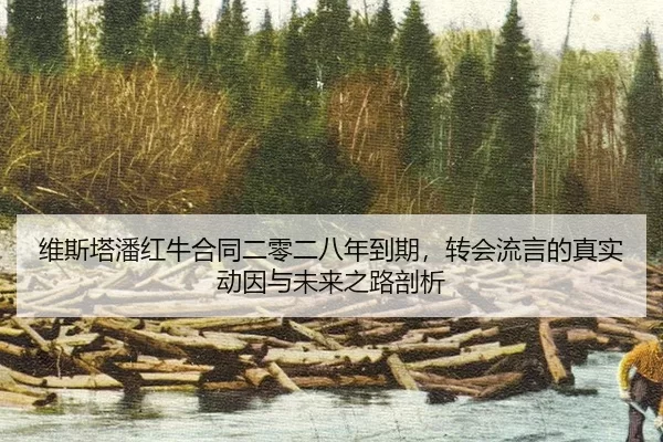wei-si-ta-pan-hong-niu-he-tong-er-ling-er-ba-nian-dao-qi-zhuan-hui-liu-yan-de-zhen-shi-dong-yin-yu-wei-lai-zhi-lu-pou-xi-2-438.jpg